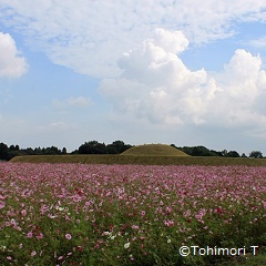 西都原古墳群の秋